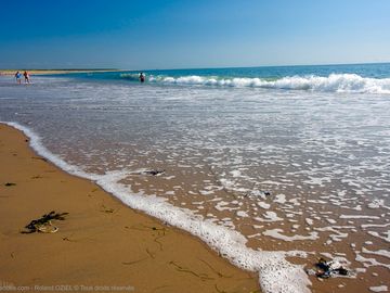 Beach at La-Faute-sur-Mer
