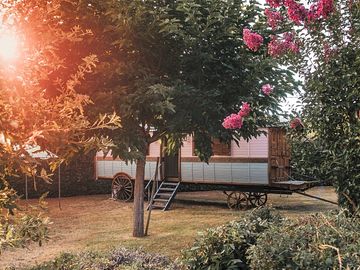 Caravan tucked among trees