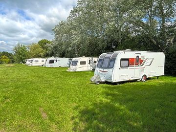 Grass pitches in a tree lined field
