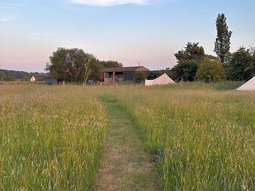 View towards the camping meadow from the bell tent meadow