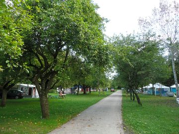 Pitches either side of the alley