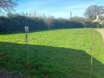 Grass pitches