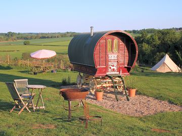 Roma Rose site