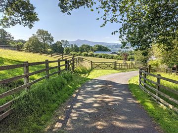 The farm lane overlooking campsite field