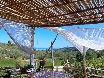 View from the terrace
