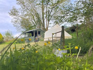 Surrounded by the bluebells and the buttercups