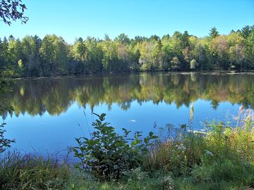 Robinson's pond