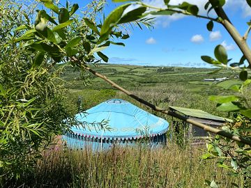 View from the yurt