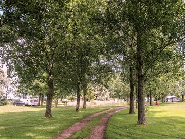Around the campsite