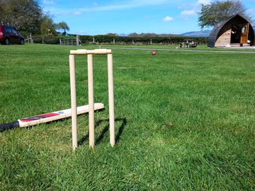 Space for a game of cricket