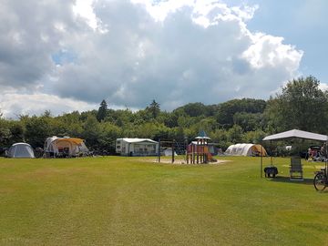 Camping on the Narcissus field