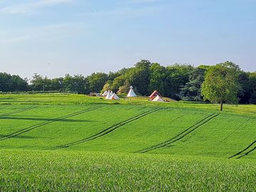 Across the field