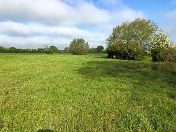 Grassy pitches