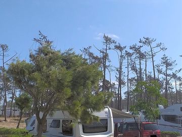 Camping area