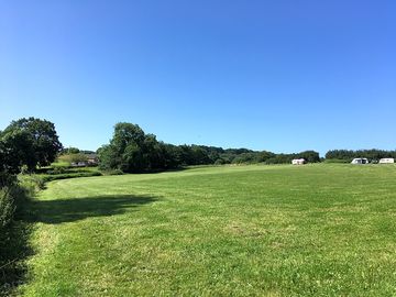 Grassy pitches