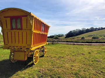 Yellow Maggie Smith's wagon on site