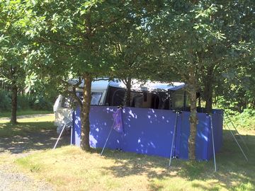 Trees providing shade