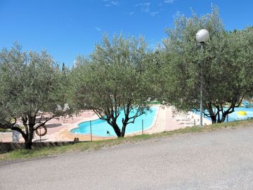 Olive trees shade the pools