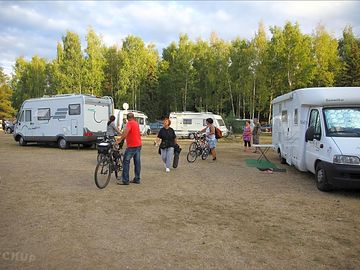 Set up by the trees