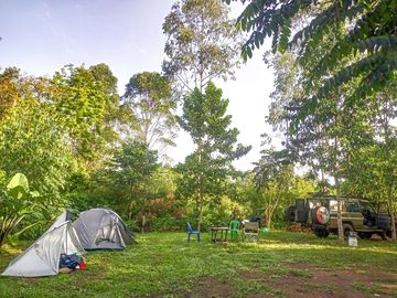 Grass camping area