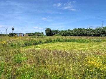Meadow-style mown pitches with pathways