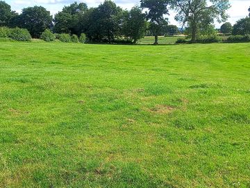 Camping field
