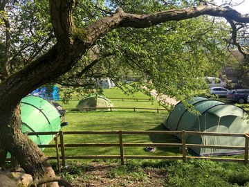 Dale Farm Rural Campsite Bakewell Derbyshire Pitchup
