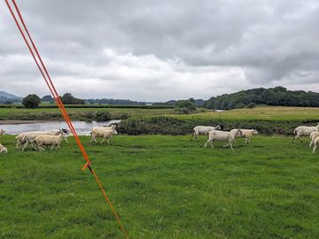 Lovely view to wake up to ☺️