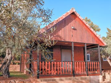 Bungalow surrounded by olive trees