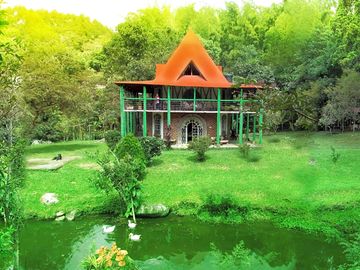 Reception surrounded by greenery
