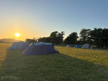 Field at sunset