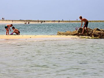 Let's go swimming and fishing
