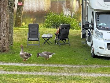 Touring pitches