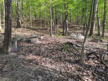 Firepit area