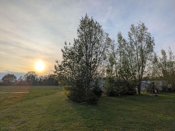 Around the site