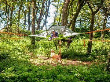 Woodland tree tent