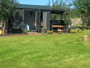 Lawn area