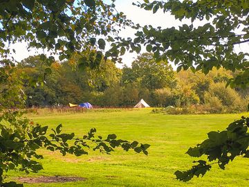 Wild Camping field