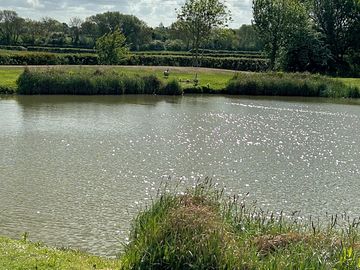 Fishing lake