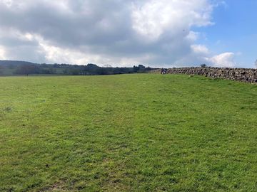Grassy pitches