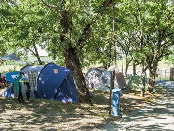 Shaded pitches under the trees