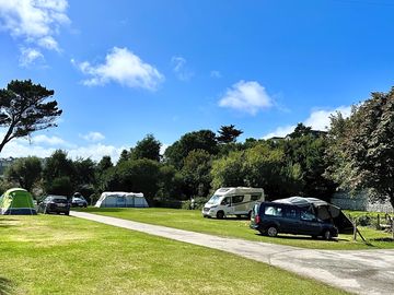 Grass pitches