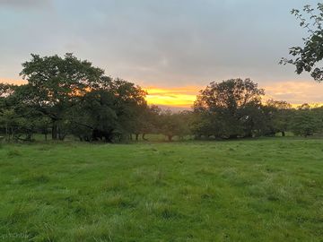 Lovely sunset