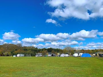 Grass pitches