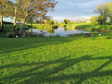 View of the lake on site