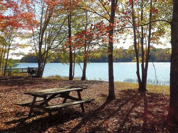 Picnic benches by the lake