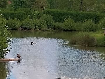 Fishing lake