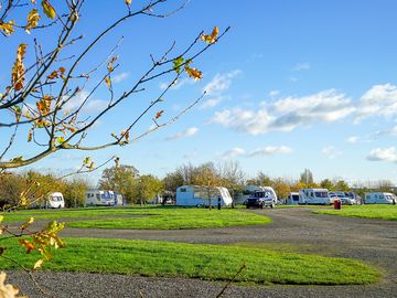 Hardstanding pitches surrounded by trees