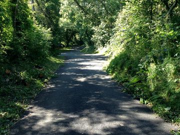 Footpath towards the brook