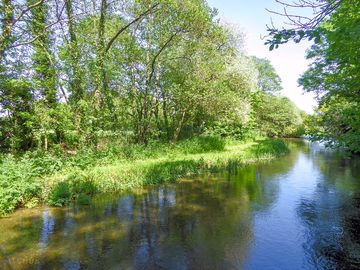 Wild swimming in the Frome river